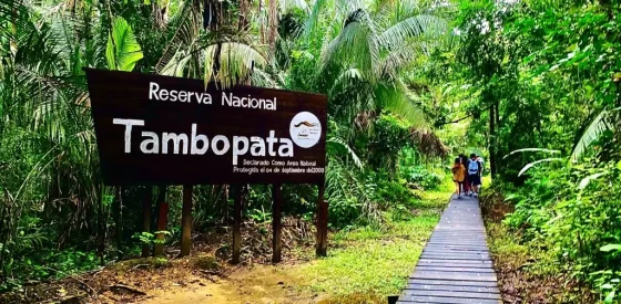 ¿Cómo visitar Tambopata desde Cusco?
