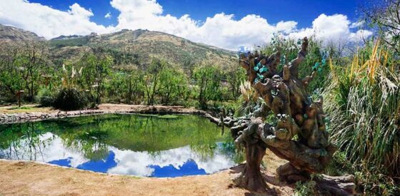 Huasao: los sorprendentes humedales de Cusco