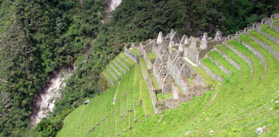 Winay Wayna ruins in Peru
