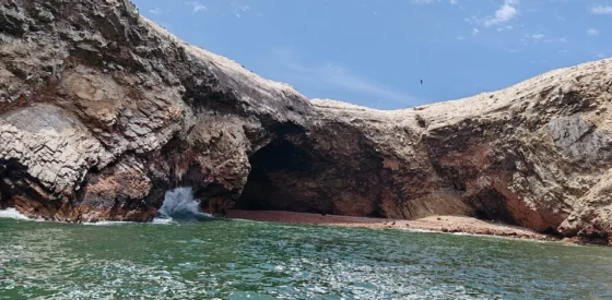 Islas Ballestas en Perú 2025